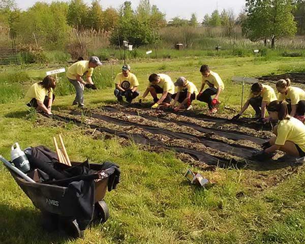 Volunteer-Page---Community-Garden